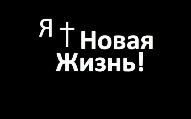 Новая жизнь