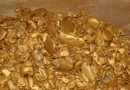 In Kyrgyzstan, officials are suspected of embezzlement of gold ore