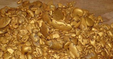 Кыргызстан: чиновники подозреваются в хищении золотосодержащей руды