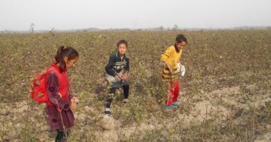 Узбекистан: власти отреагировали на публикацию АССА о детском труде