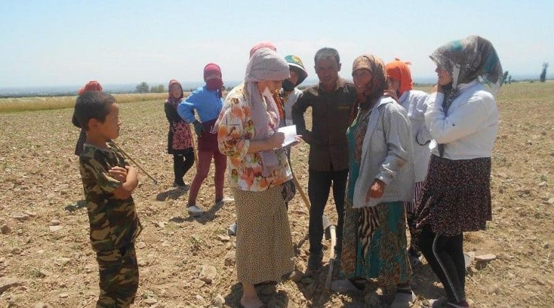 Узбекистан: дети вынуждены работать на хлопковых плантациях