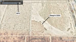 В Туркменистане люди массово гибнут от COVID-19