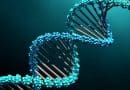 Uzbekistan: DNA will be used to detect crimes