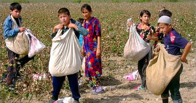 Узбекистан: принудительный труд на хлопковых полях не изжит окончательно