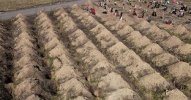 Смертность в Туркменистане бьет все рекорды