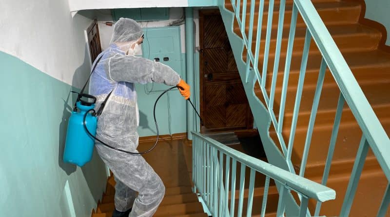 Kazakhstan: a disinfector was engaged to evict the children from the apartment