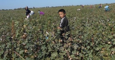 Uzbekistan continues to use child labor in cotton picking