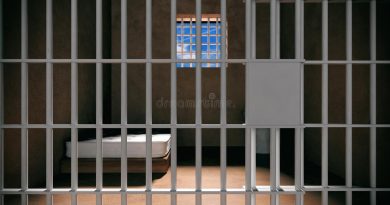 Uzbekistan: the luxurious life of a crime boss behind bars