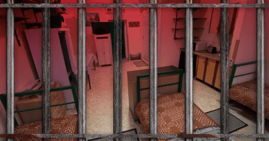 Кыргызстан: юрист отсидел за оскорбление судей 5 суток