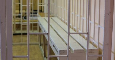 В Таджикистане судят 66-летнюю мать и сестру известного блогера